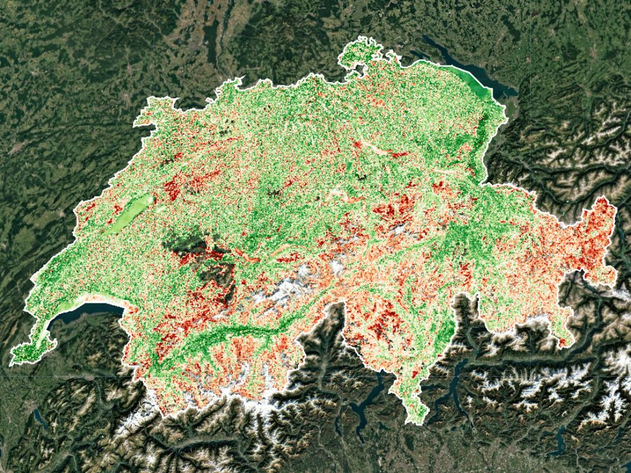 Swiss vegetation condition, second year