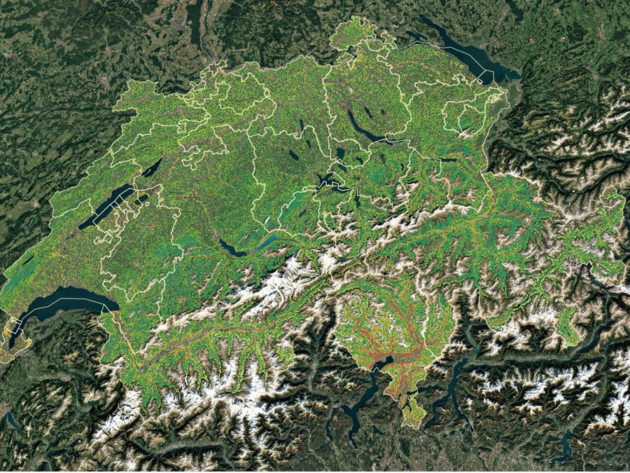 Broadleaf basal-area share across the Swiss forest area
