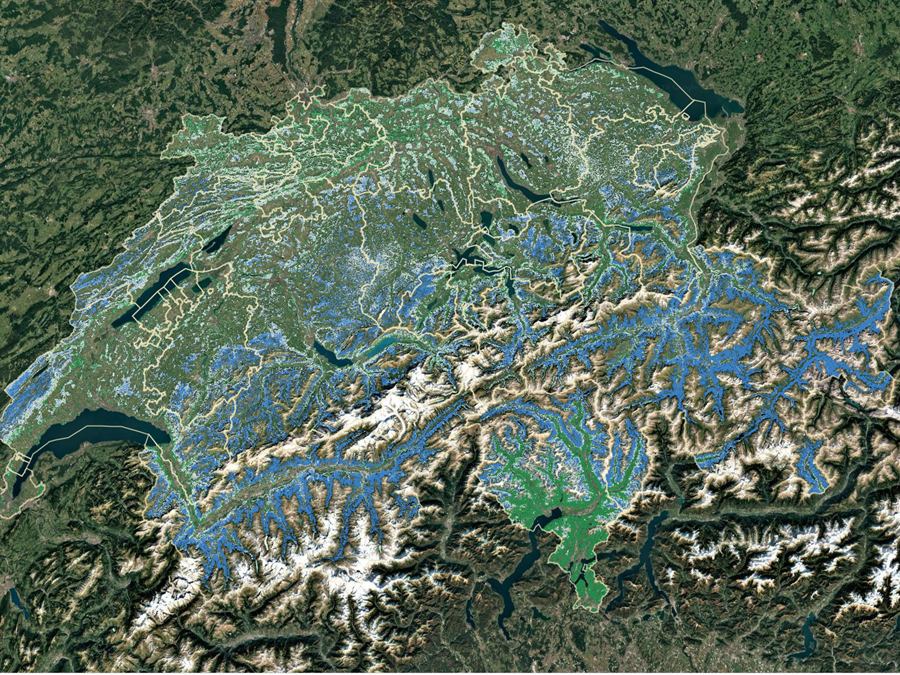 Conifer basal-area share across the same area