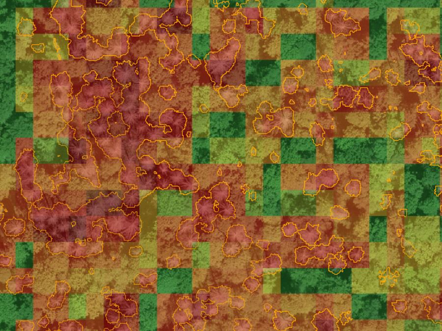 Deadwood share aggregated into a grid